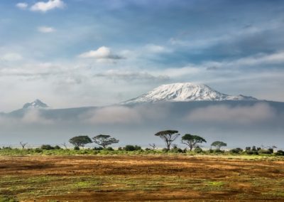 African Safari